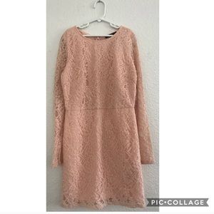Forever 21 Blush Lace Long Sleeve Dress